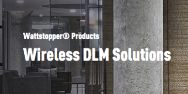 wattstopper wireless dlm